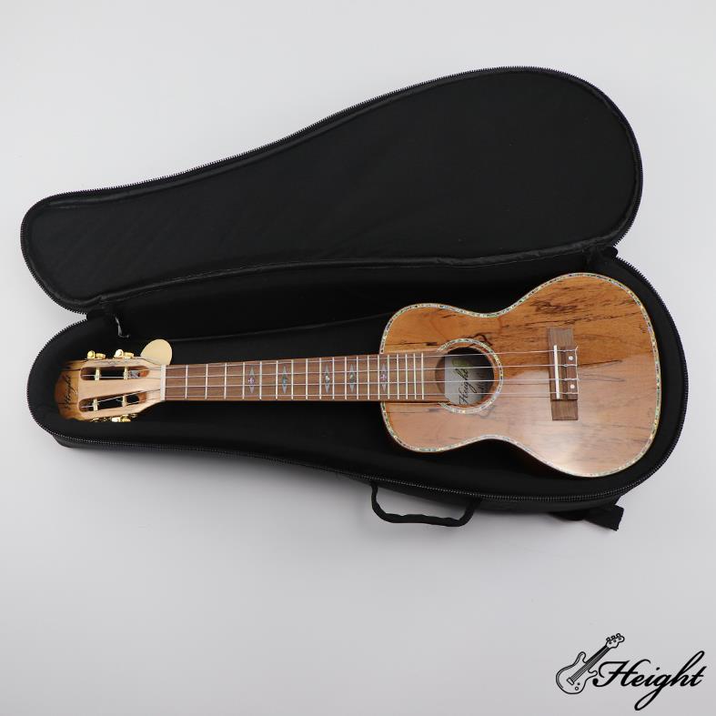 Ukulele Bag Concert