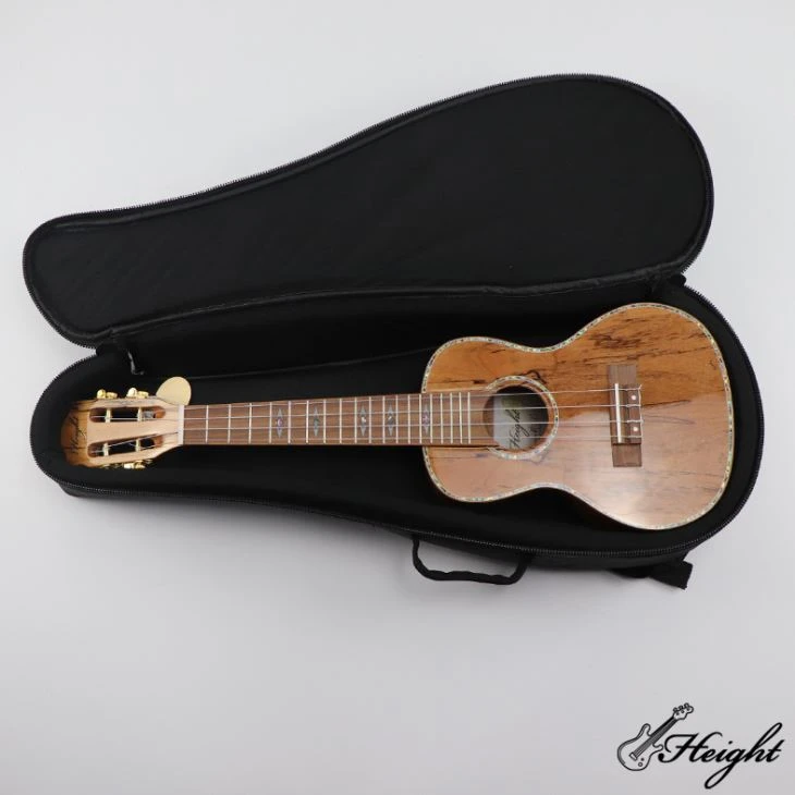 Ukulele Bag
