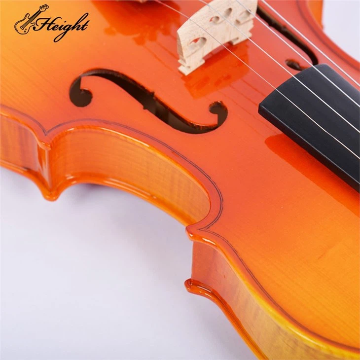 Classical Professional Violin
