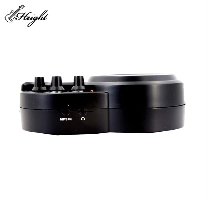 Electric Guitar Small Speaker